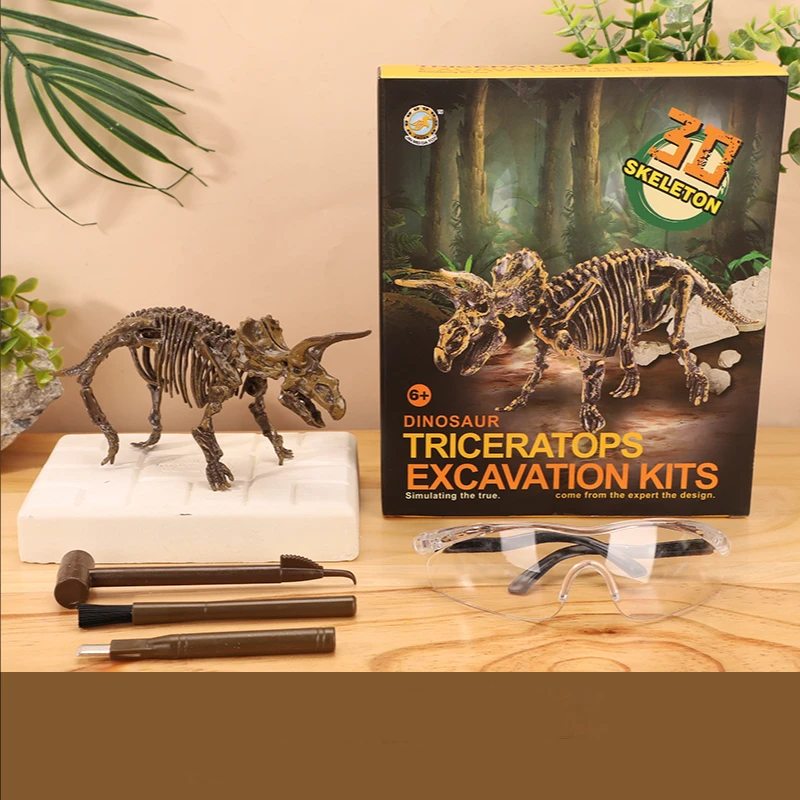 Various tools for dinosaur fossil excavation alongside a brushed-off dino bone fragment