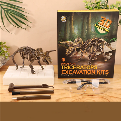 Various tools for dinosaur fossil excavation alongside a brushed-off dino bone fragment