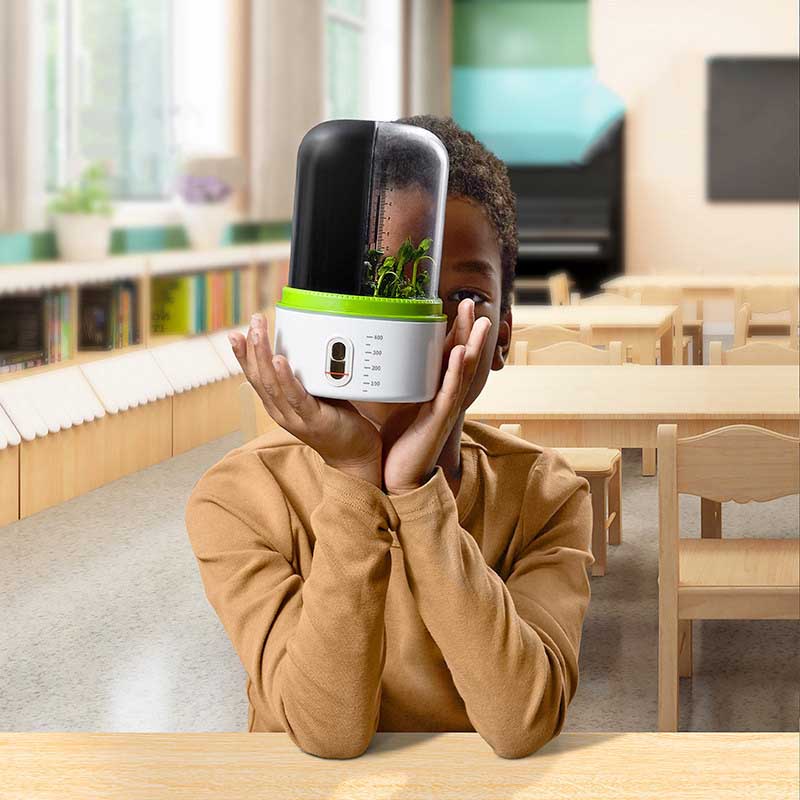 Close-up of a plant sprout inside the Kids' Plant Growth Incubator, an educational science kit