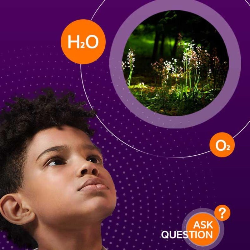 Brightly colored Kids' Plant Growth Incubator, designed as an engaging and educational science toy