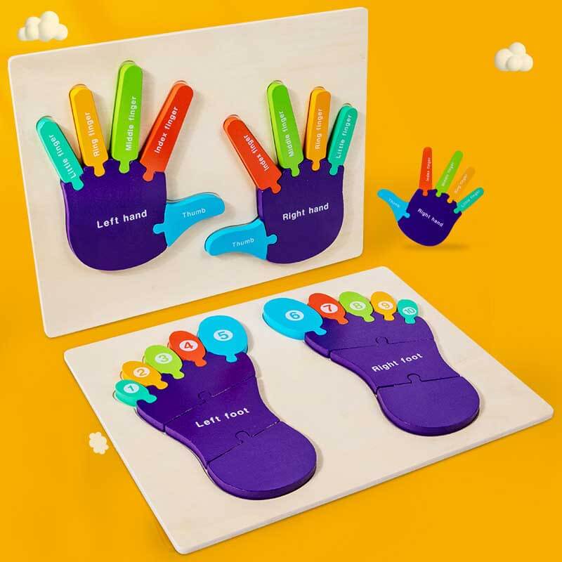 Colorful wooden palm and foot puzzle helping preschool kids learn body parts