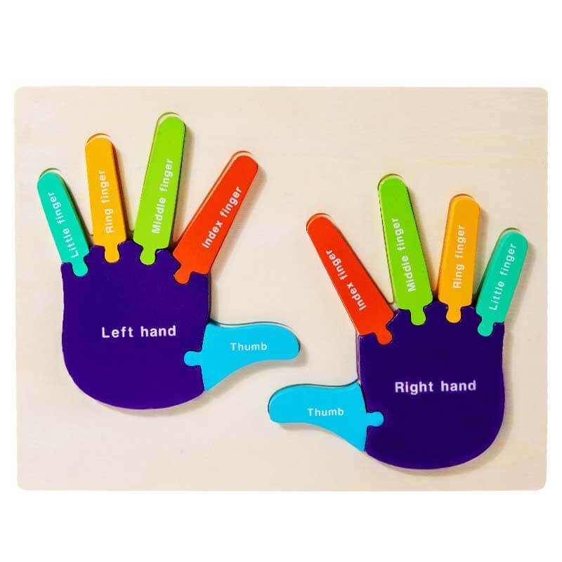Kids activity: wooden palm and foot sorting puzzle for early childhood learning
