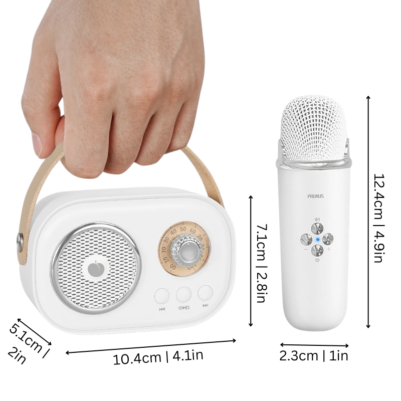 Portable karaoke system for kids featuring two microphones, Bluetooth speaker, and voice effects.