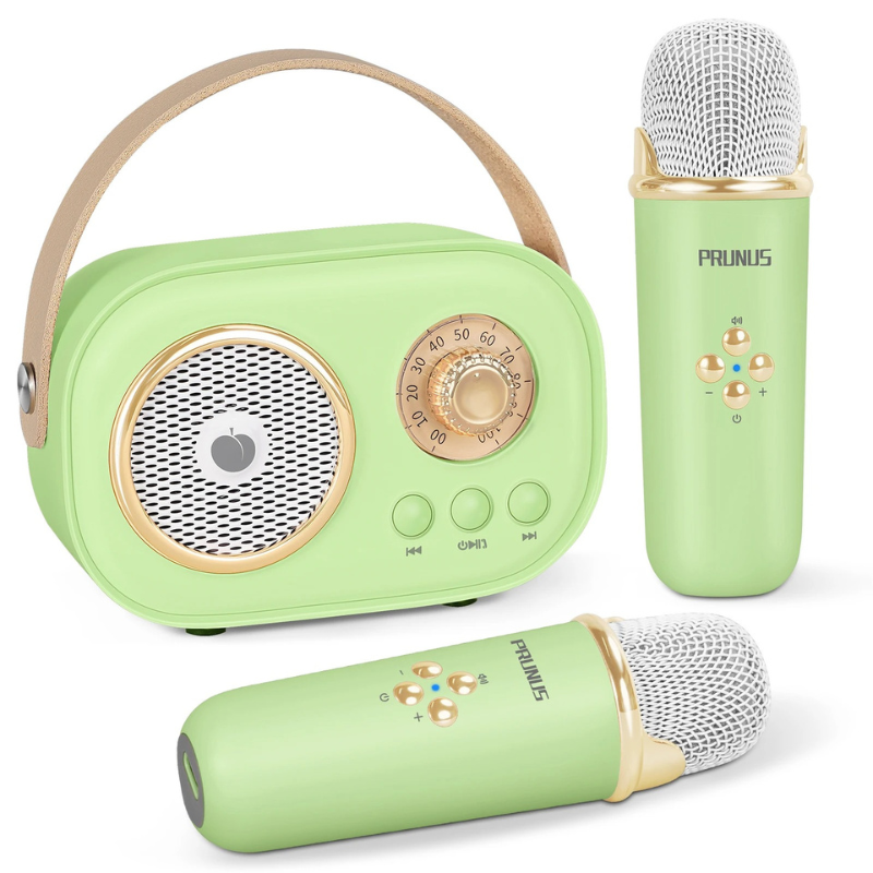 Close-up of a kids' karaoke machine showing dual microphones and control panel, rechargeable battery.