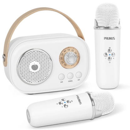 Kids' Bluetooth karaoke system with dual microphones, offering voice effects for endless entertainment.