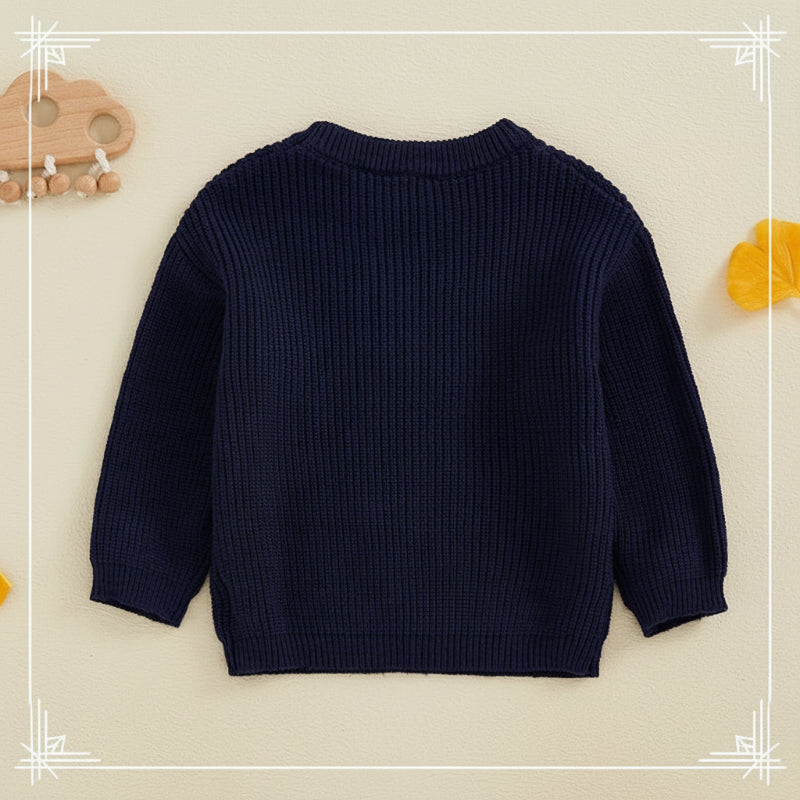 Kids' cotton blend festive pullover, embroidered crew neck sweater, comfortable long sleeve casual wear.