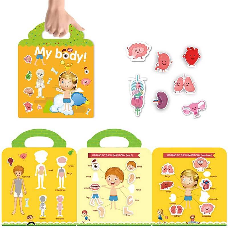Child concentrating on a reusable sticker activity, 'My Body' theme, learning anatomy.