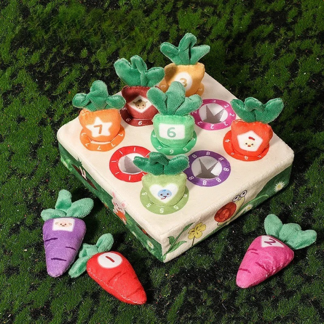 Sensory plush carrot picking toy for kids, detailed with soft fabric textures and different colored carrots.