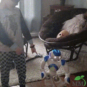 Perfect gift: Interactive kids' robot with gesture control, talking, dancing, & learning fun.