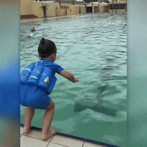 Water safety gear: Toddler swim float vest, long sleeve, UV protective, with attached shorts.