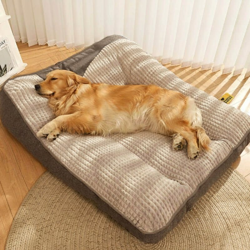 Comfy large pet bed with a removable, washable cover, perfect for orthopedic support for big dogs.