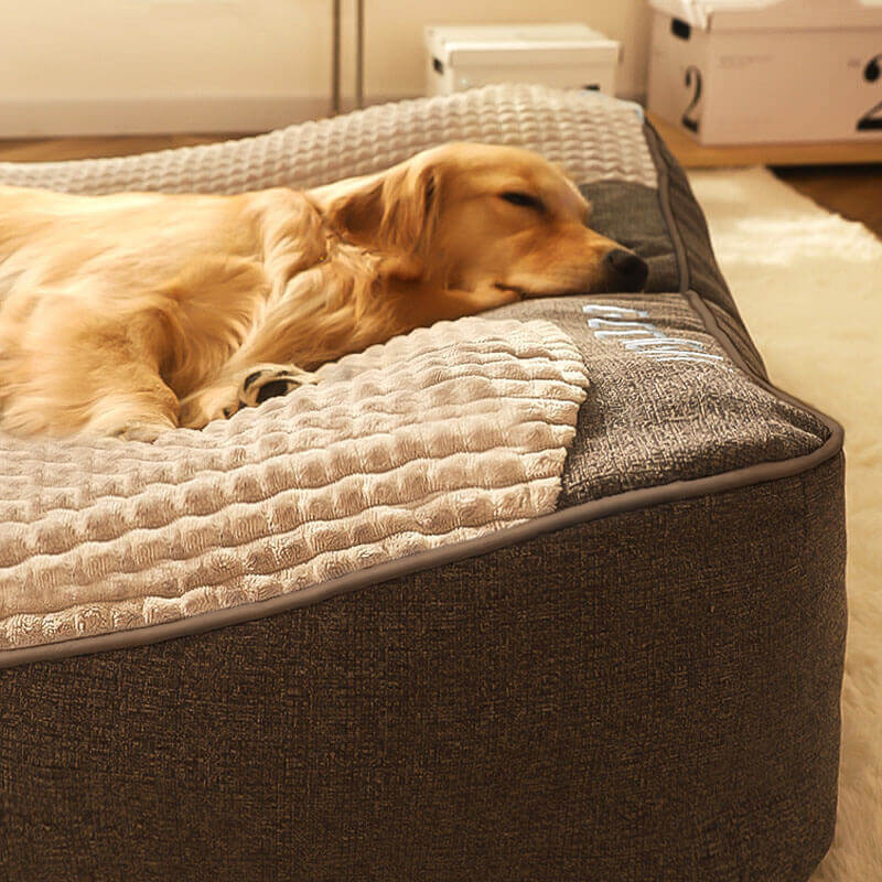 Durable large dog bed offering orthopedic support, designed for scratch resistance and canine comfort.