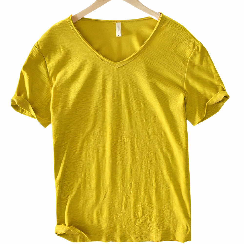 Versatile men's V-neck t-shirt for casual wear, summer holidays & daily comfort. Breathable short sleeve apparel.