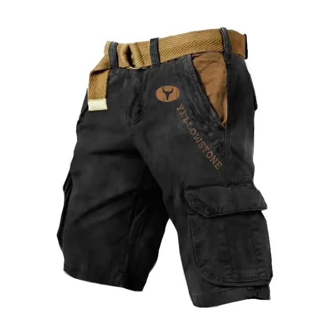 Everyday men's relaxed fit shorts; comfortable cargo style with multi-pockets for summer adventures.
