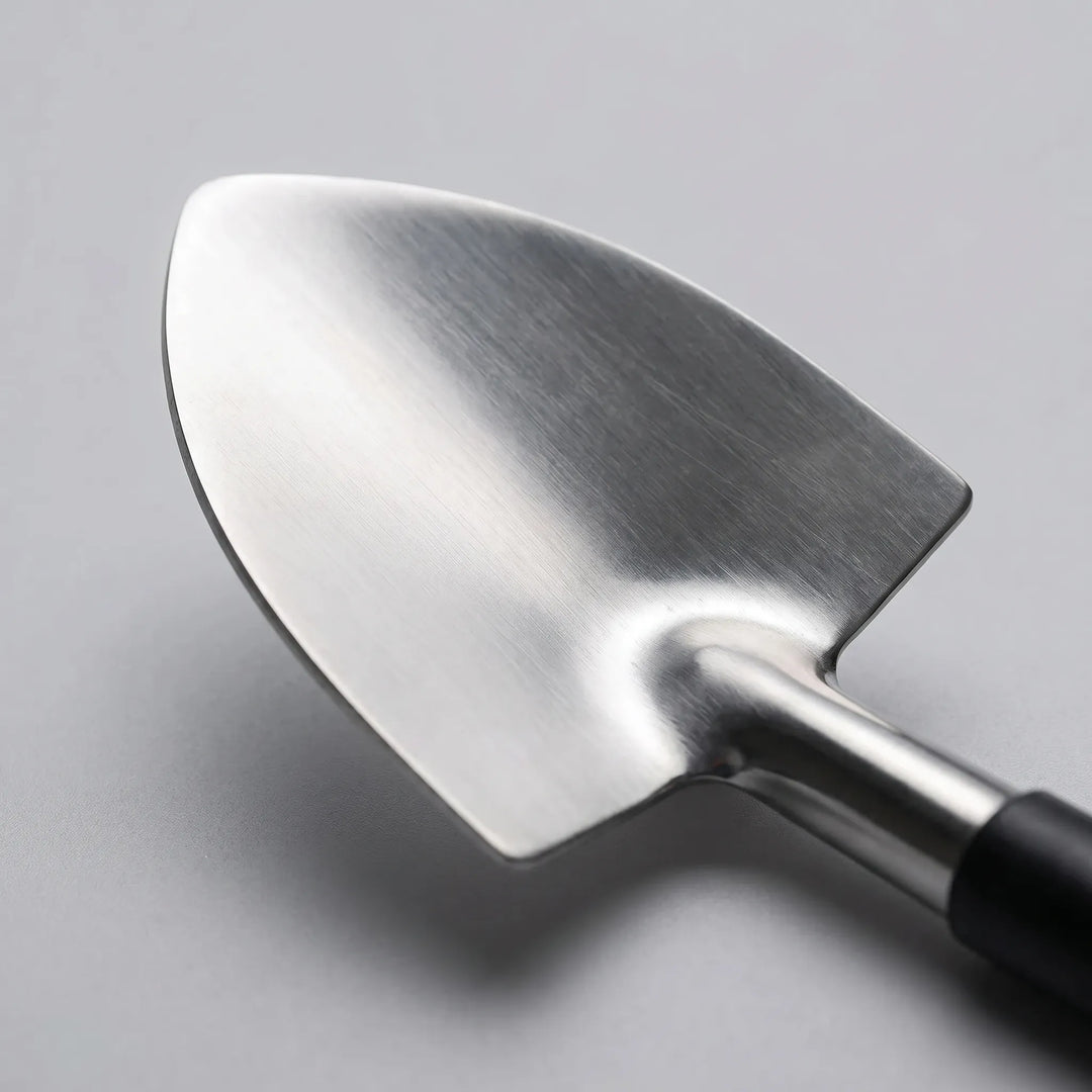 Detailed bonsai tools for miniature plants. Essential gardening kit for precise pruning & shaping small trees.