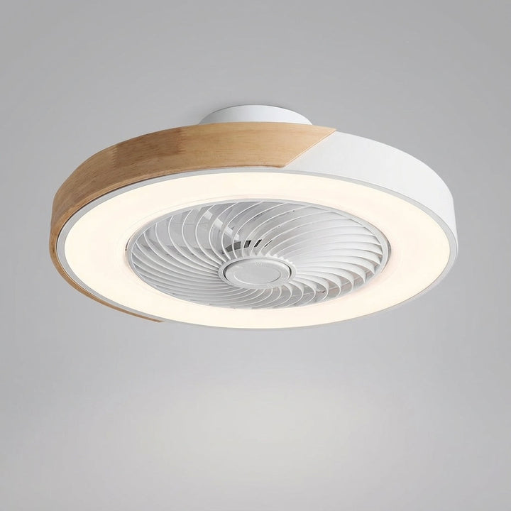 Energy-efficient modern LED ceiling fan with quiet motor and bright integrated lighting for any room.