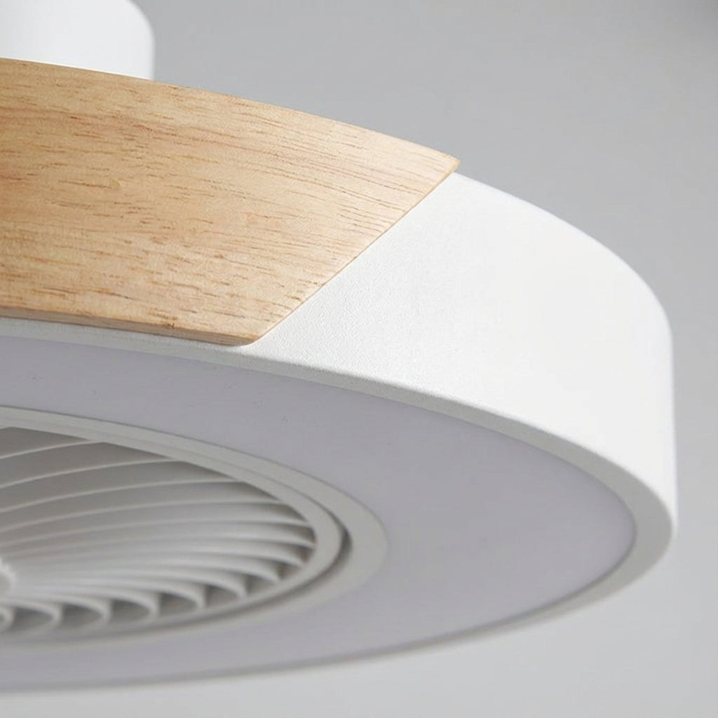 Quiet Breezora LED ceiling fan light fixture with remote control, perfect for serene indoor lighting.