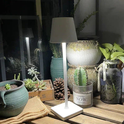 Versatile portable LED lamp, dimmable and rechargeable, suitable for indoor, outdoor, and mood lighting.
