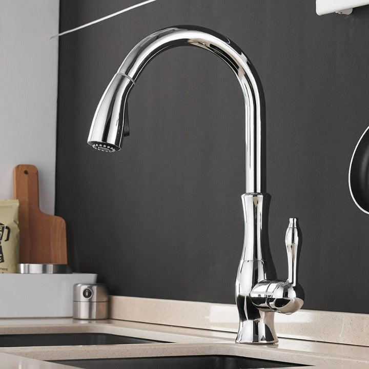 Versatile chromium pull-out kitchen faucet, modern retractable design for easy kitchen sink use.