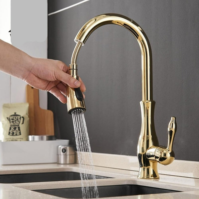 Modern kitchen faucet with retractable pull-out spray, ideal for convenient kitchen sink tasks.
