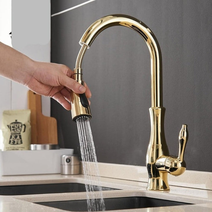 Modern kitchen faucet with retractable pull-out spray, ideal for convenient kitchen sink tasks.