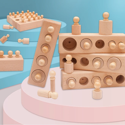 Montessori wooden cylinder blocks for kids learning fine motor skills and problem solving, preschool educational toy