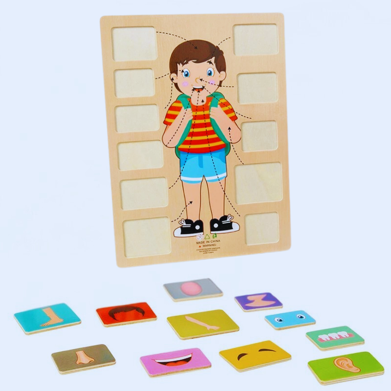 Montessori wooden human body puzzle for kids learning anatomy & cognitive skills development