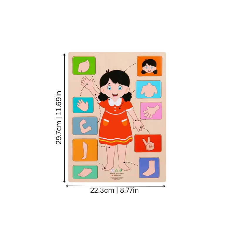 Educational wooden human body puzzle toy, preschool learning, fine motor skills, child development