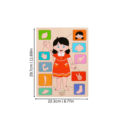 Educational wooden human body puzzle toy, preschool learning, fine motor skills, child development