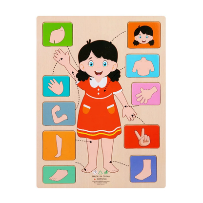 Children's wooden human body puzzle, anatomy educational toy for cognitive development