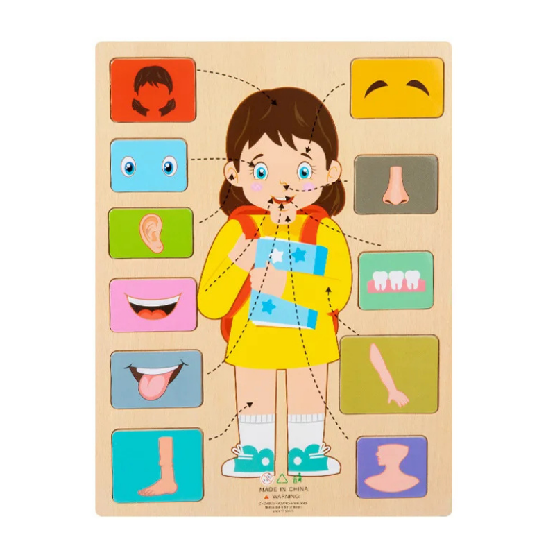 Kids learning human body wooden puzzle, Montessori toy for preschoolers, fine motor skills