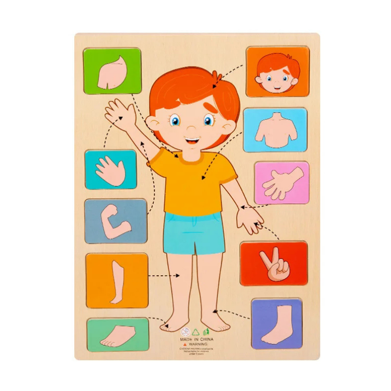 Wooden human body anatomy puzzle for children, educational cognitive skill development toy