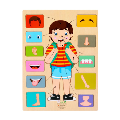 Educational wooden human body puzzle, kids development toy, cognitive skills and anatomy
