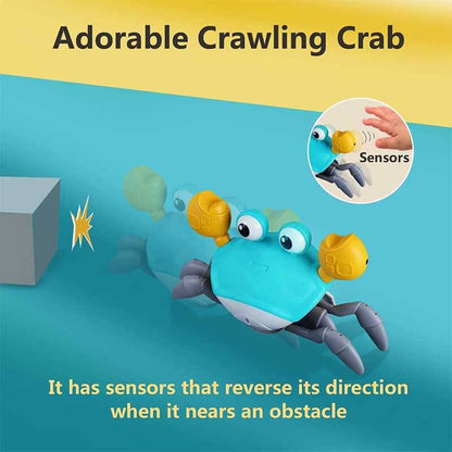 Unisex developmental crab toy promoting crawling and activity for infants