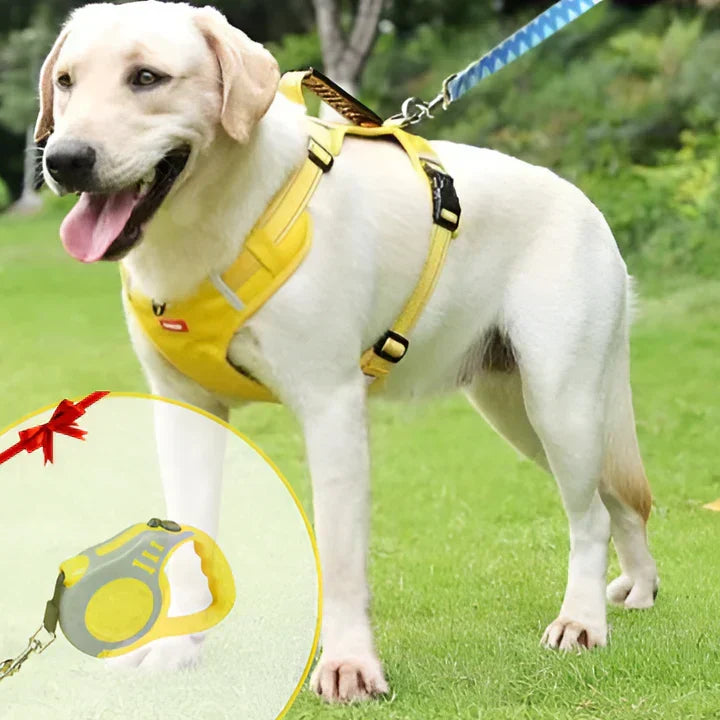 New no-pull dog harness for comfortable control, featuring adjustable straps & padded design for leash training walks.