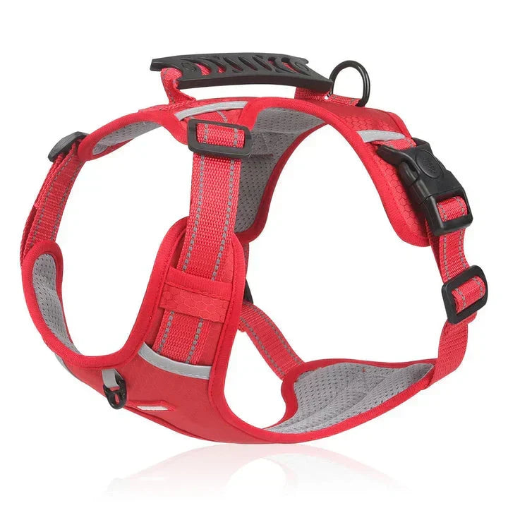 Comfortable padded no-pull dog vest harness, an essential new dog accessory for better control & daily walks.