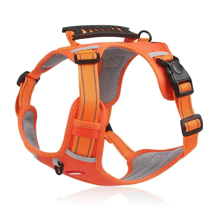 Premium no-pull dog harness for ultimate control & comfort during walks. Adjustable, padded pet gear for all dogs.