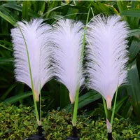 Elegant reed-style garden lighting for outdoor spaces, creating a warm and inviting landscape.