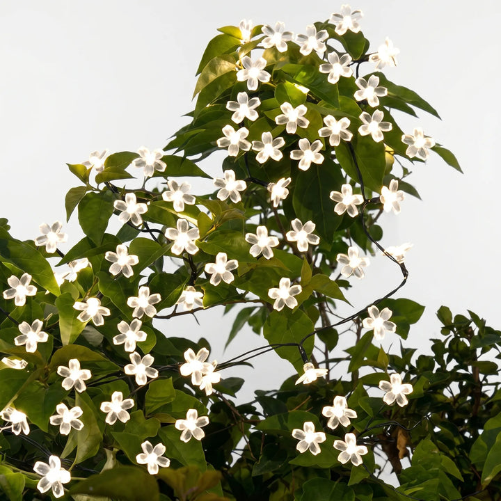Flexible solar cherry blossom string lights draped on a garden fence. Easy outdoor decorative lighting.