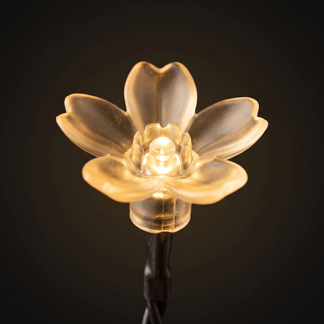 Close-up of illuminated LED cherry blossom solar string lights. Perfect for enchanting garden ambiance.