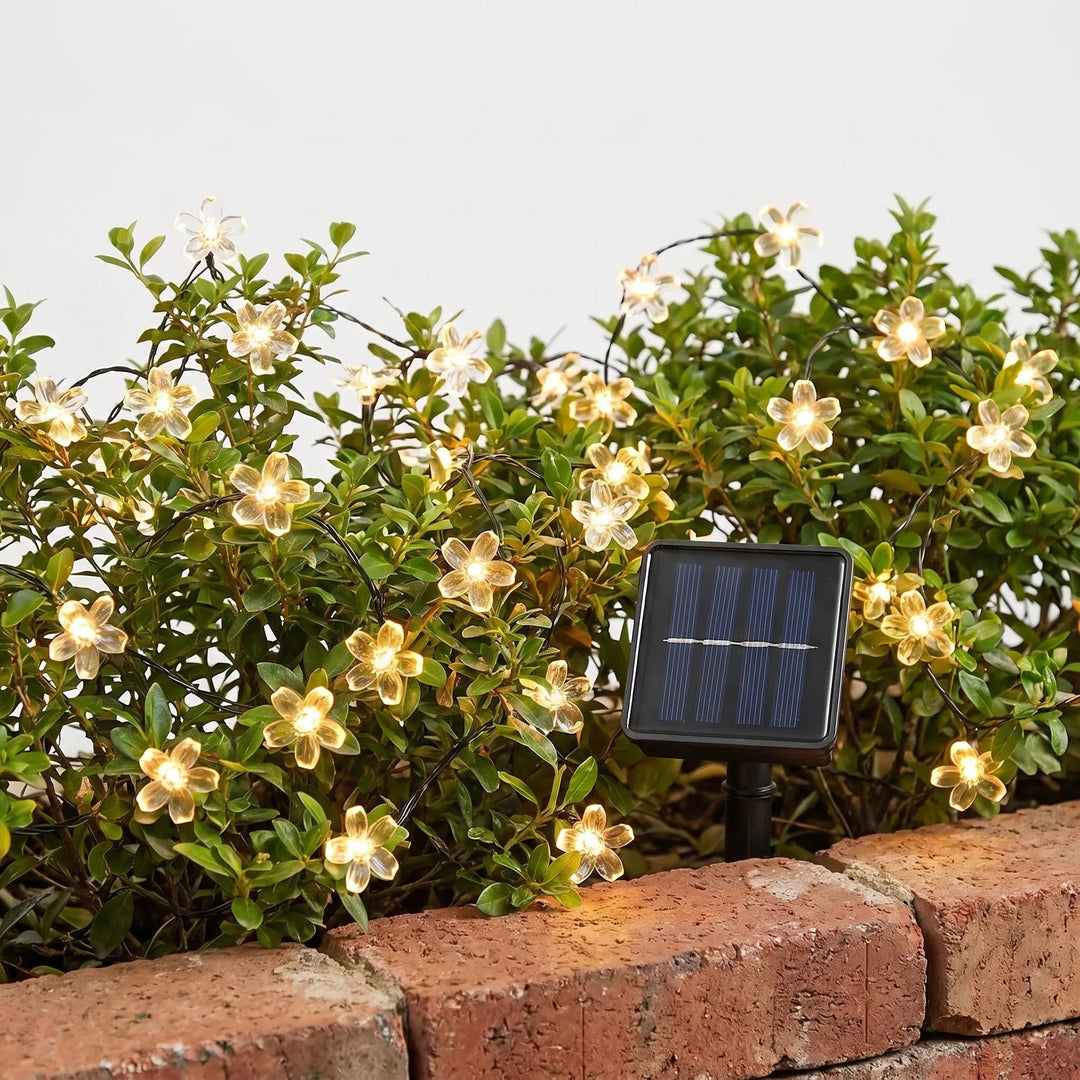 Warm white solar blossom string lights draped across a patio, creating a cozy evening atmosphere.