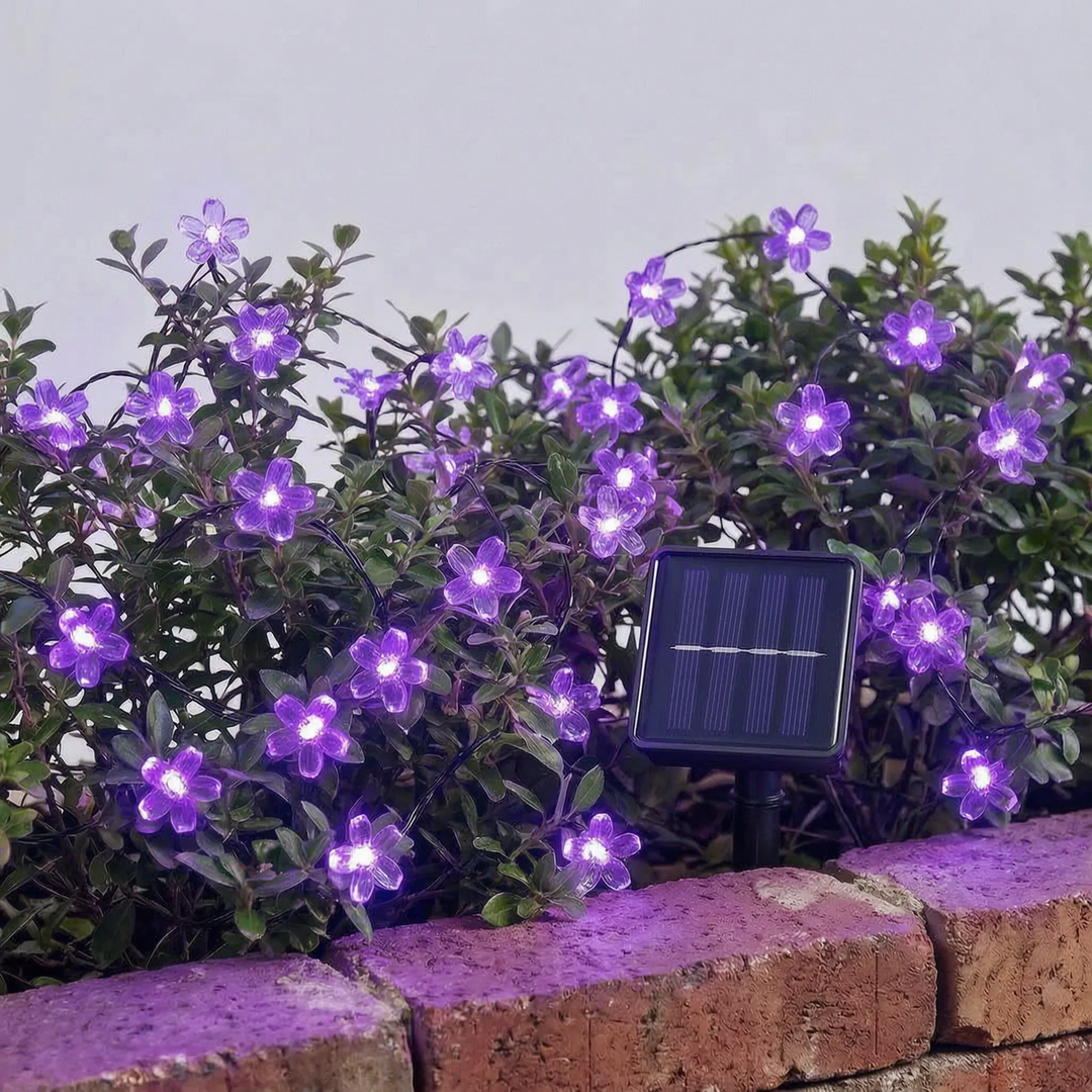 Waterproof solar blossom LED string lights illuminating a garden path. Ideal for yard & outdoor decor.