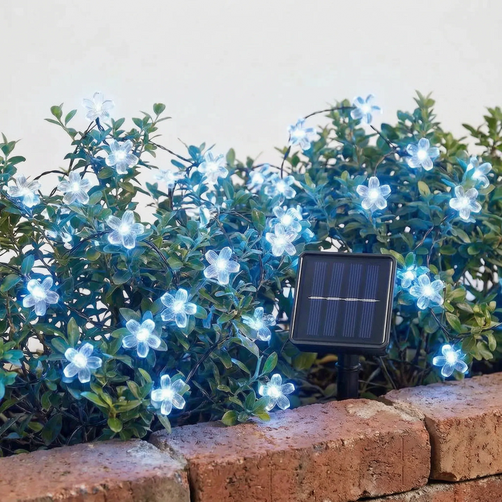 Solar-powered LED cherry blossom string lights, eco-friendly decorative lighting for outdoor spaces.