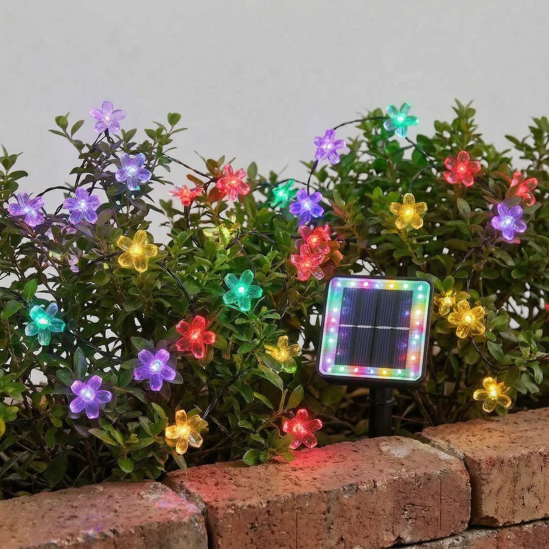 Bright solar cherry blossom LED string lights for outdoor garden and patio. Waterproof & energy-efficient.