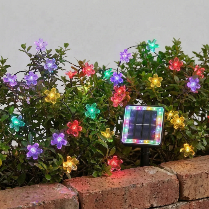 Bright solar cherry blossom LED string lights for outdoor garden and patio. Waterproof & energy-efficient.