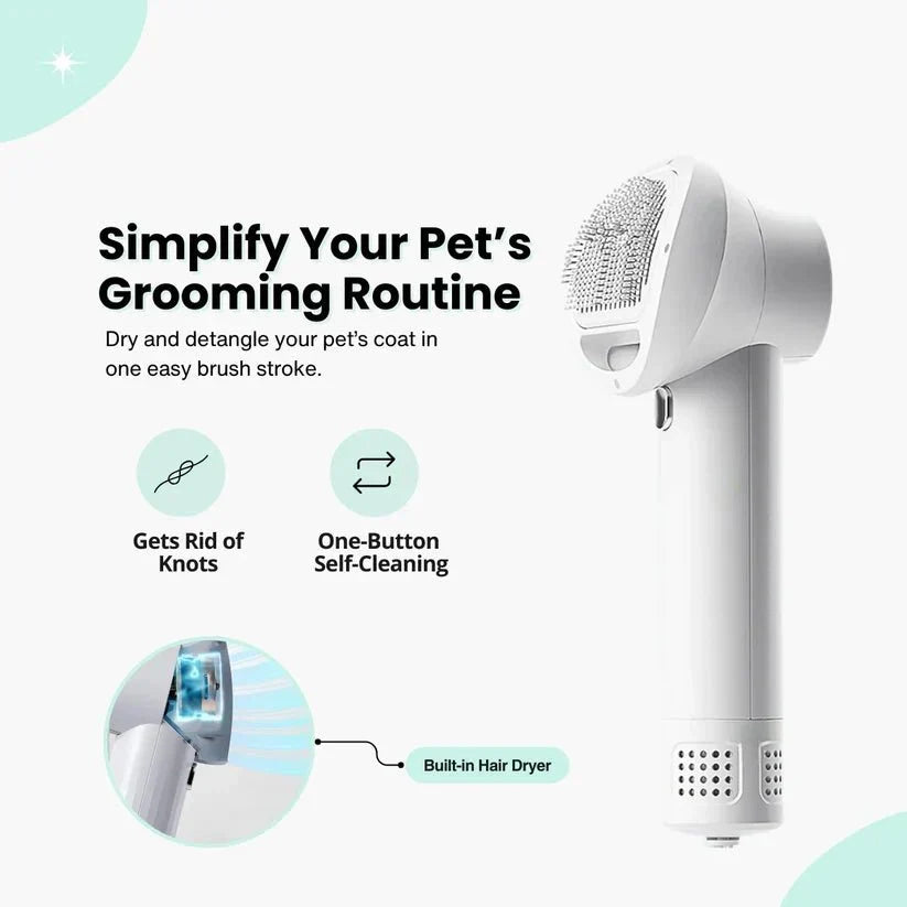 Efficient dog grooming tool: 2-in-1 pet dryer & shedding brush for a shiny, healthy dog coat.