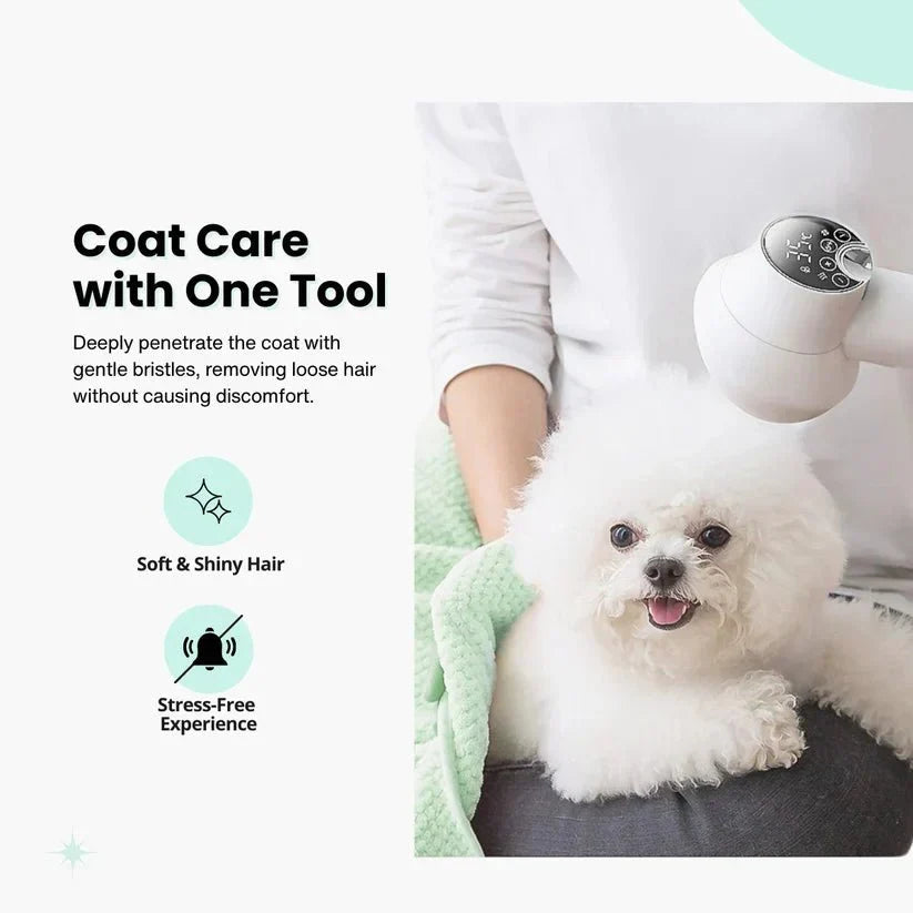 Innovative pet care solution: 2-in-1 dog hair dryer and detangler brush for easy home grooming.