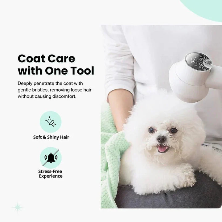 Innovative pet care solution: 2-in-1 dog hair dryer and detangler brush for easy home grooming.