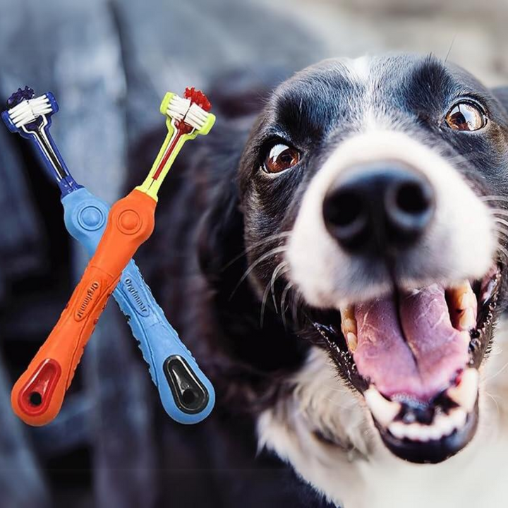 Pet 3-sided toothbrush for dogs. Effective tartar control & fresh breath for canine dental care.