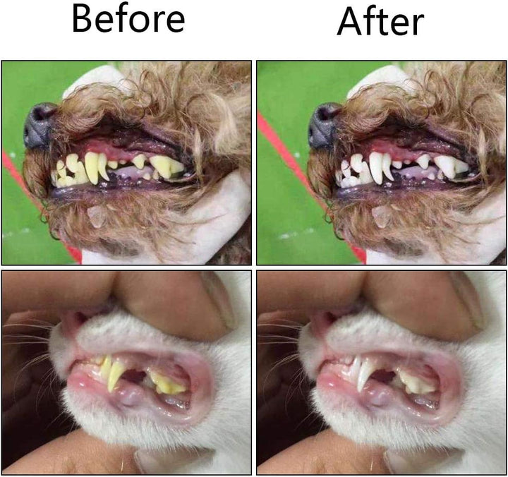 Keep your dog's teeth clean with this 3-sided pet toothbrush for tartar control.